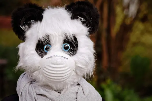 BitReels Casino Assistance